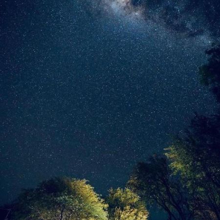 산 페드로 데 아타카마 Suri Atacama - Eco H&T 게스트하우스 외부 사진